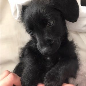 Meet your Posher, Meredith